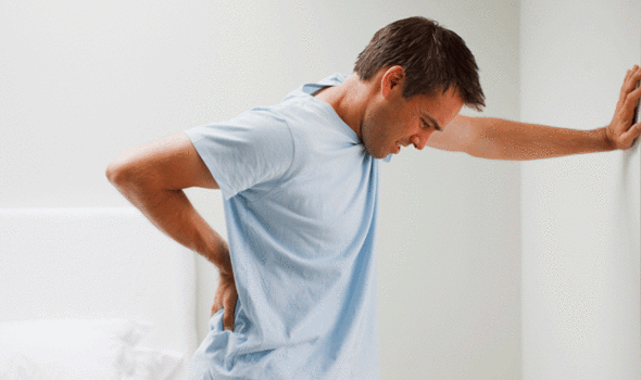 chiropractic for back pain, low back pain