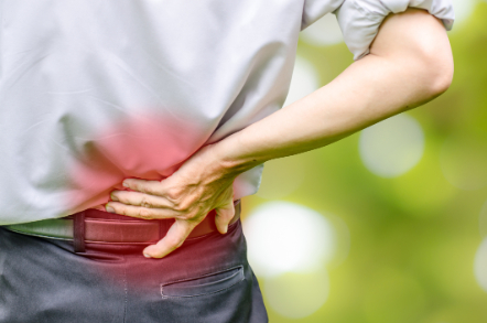 chiropractic for disc issues, back pain